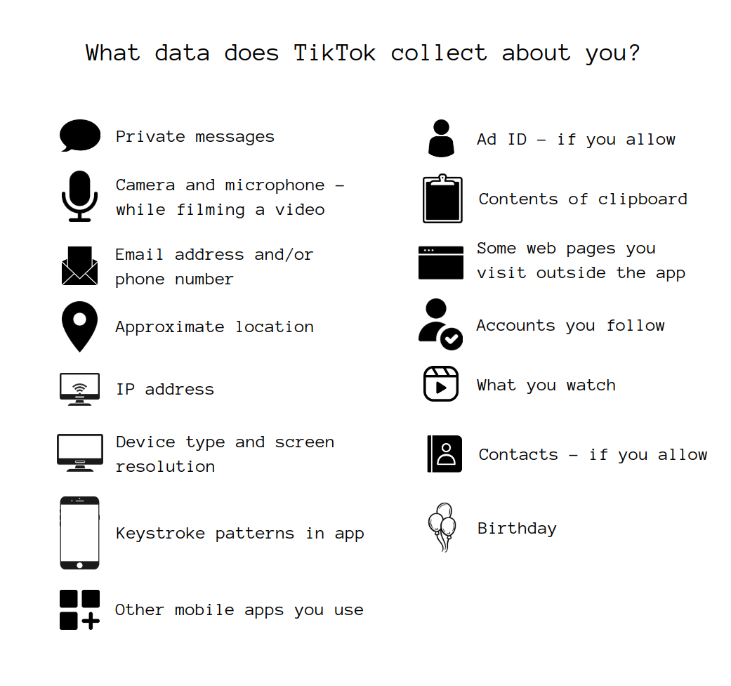 Infographic: All the data TikTok collects about you.