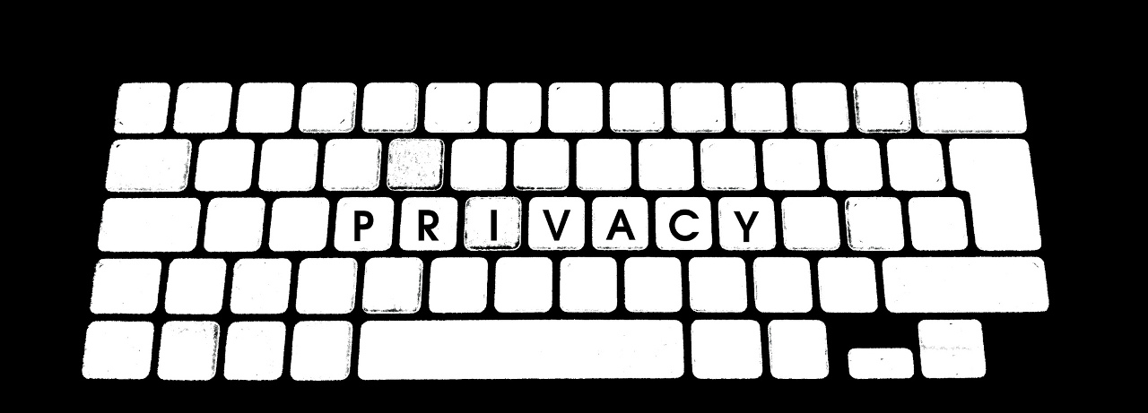 Huge privacy win: EU Court of Human Rights and EU Parliament are in favor of strong end-to-end encryption.
